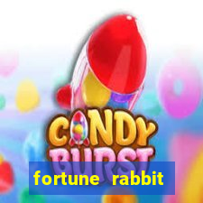 fortune rabbit esporte da sorte