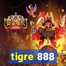 tigre 888