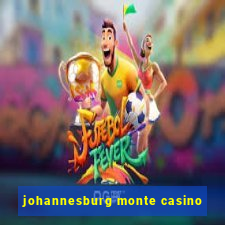 johannesburg monte casino