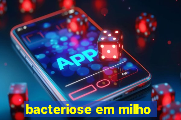 bacteriose em milho