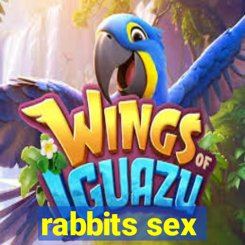 rabbits sex