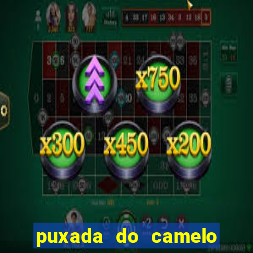 puxada do camelo no jogo do bicho