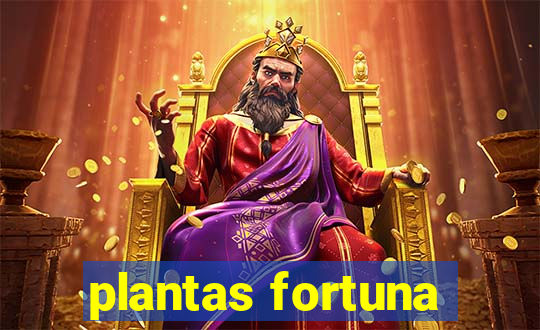 plantas fortuna