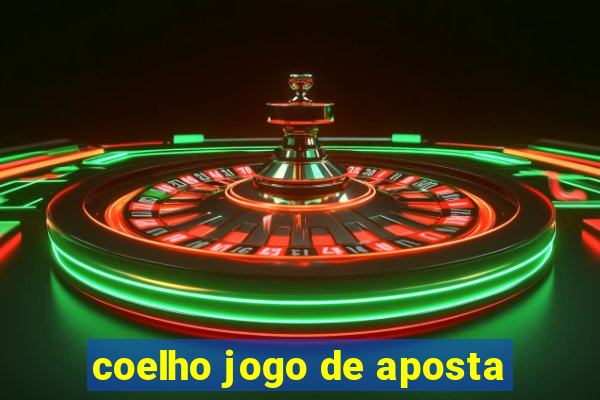 coelho jogo de aposta