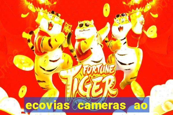 ecovias cameras ao vivo santos