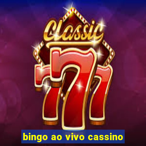 bingo ao vivo cassino