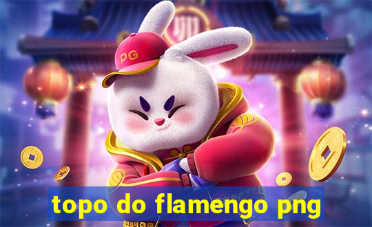 topo do flamengo png