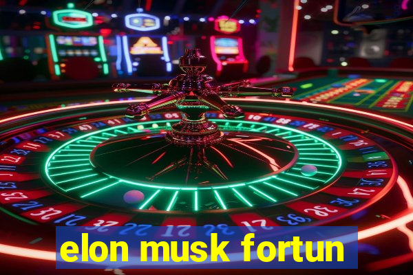 elon musk fortun