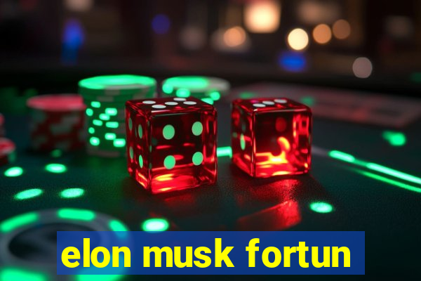 elon musk fortun