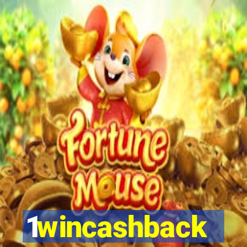 1wincashback