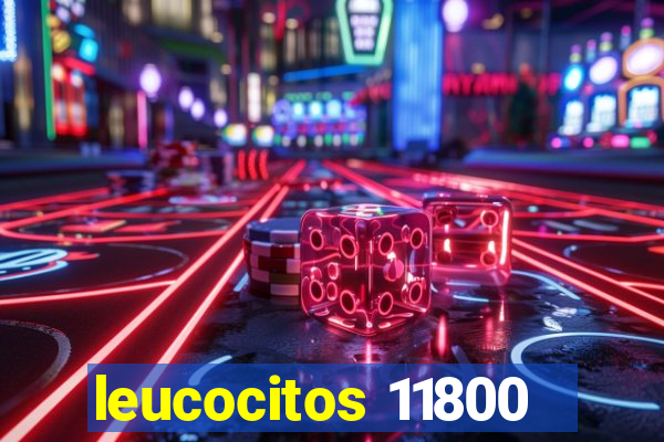 leucocitos 11800