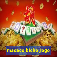 macaco bicho jogo