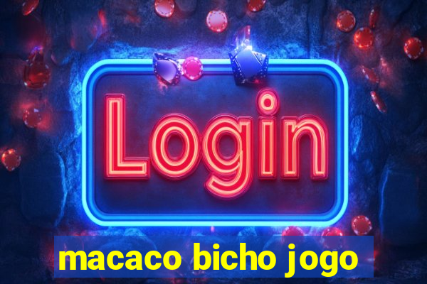 macaco bicho jogo