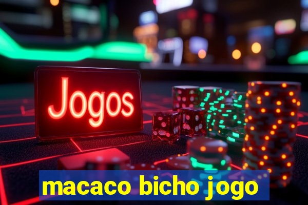 macaco bicho jogo