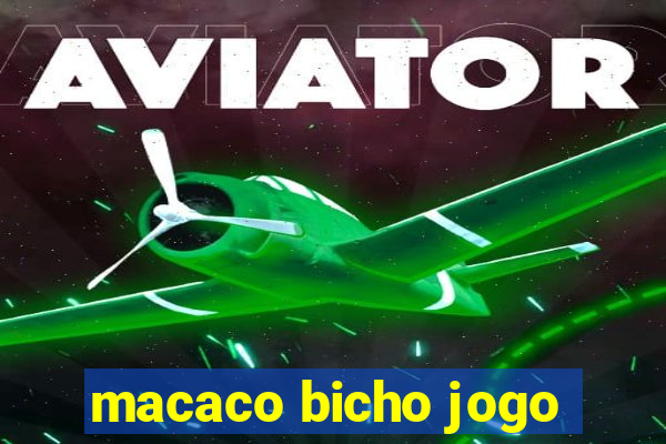 macaco bicho jogo