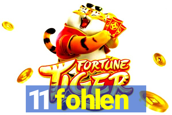 11 fohlen