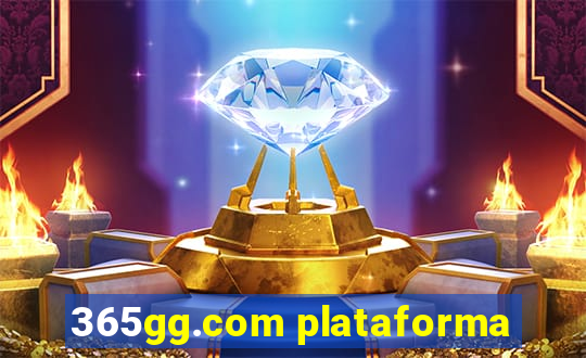 365gg.com plataforma