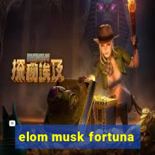 elom musk fortuna