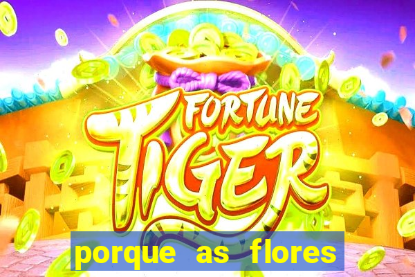 porque as flores da roma caem