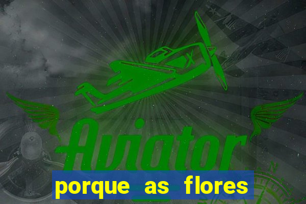 porque as flores da roma caem