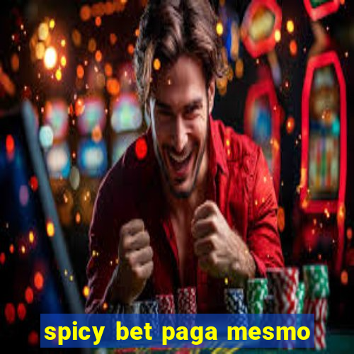 spicy bet paga mesmo