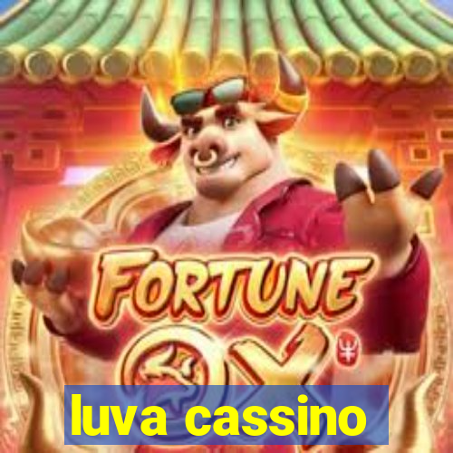 luva cassino