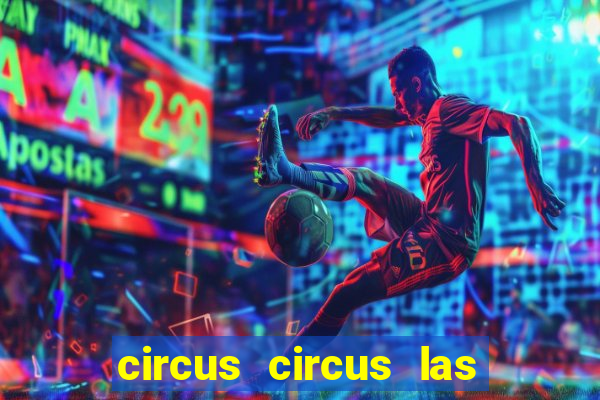 circus circus las vegas hotel and casino