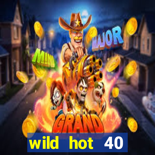 wild hot 40 christmas slot