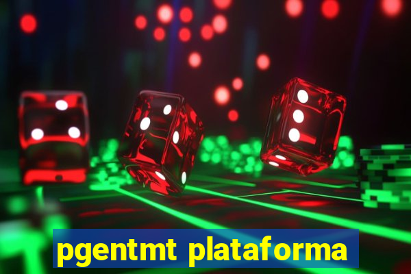 pgentmt plataforma