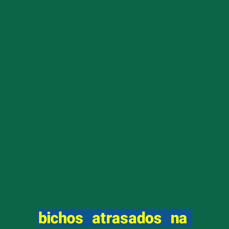 bichos atrasados na loteria federal