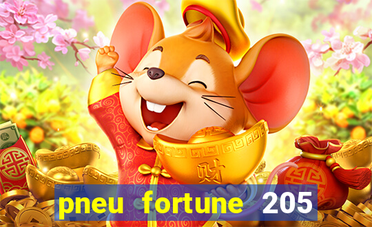 pneu fortune 205 55 r16