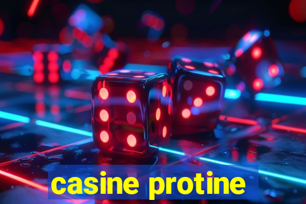 casine protine