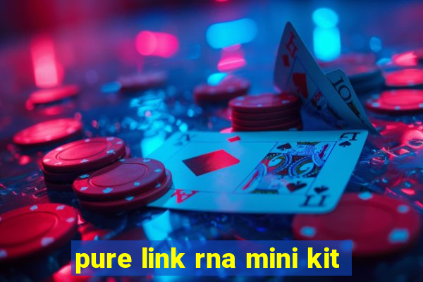 pure link rna mini kit