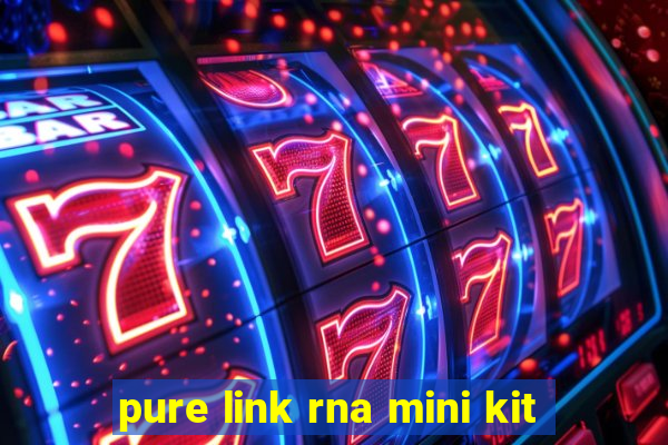 pure link rna mini kit