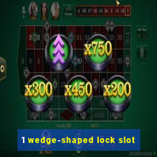 1 wedge-shaped lock slot