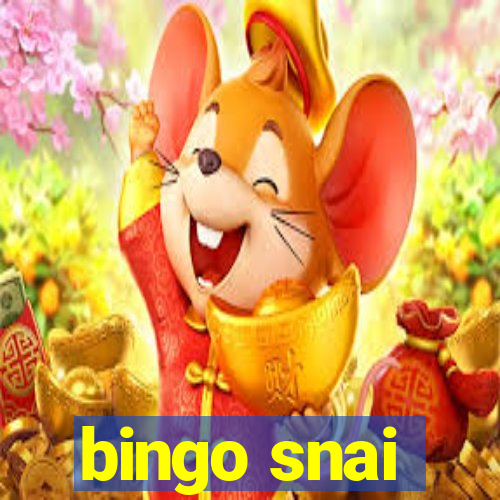 bingo snai