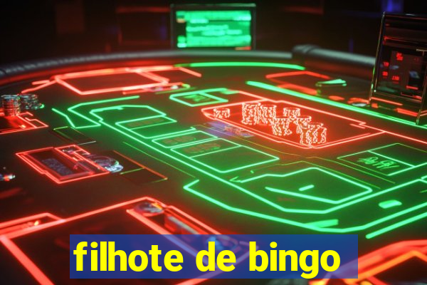 filhote de bingo