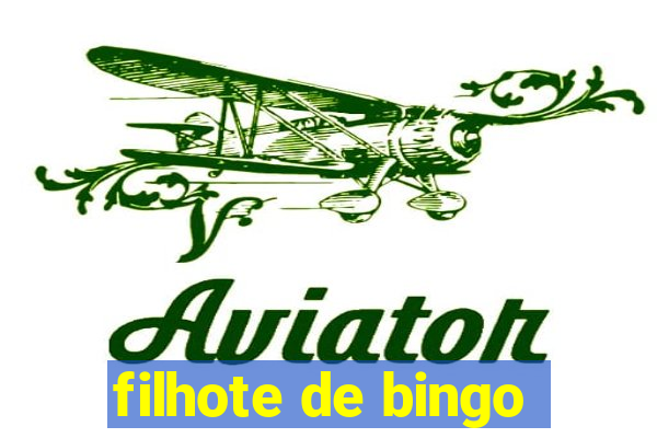 filhote de bingo