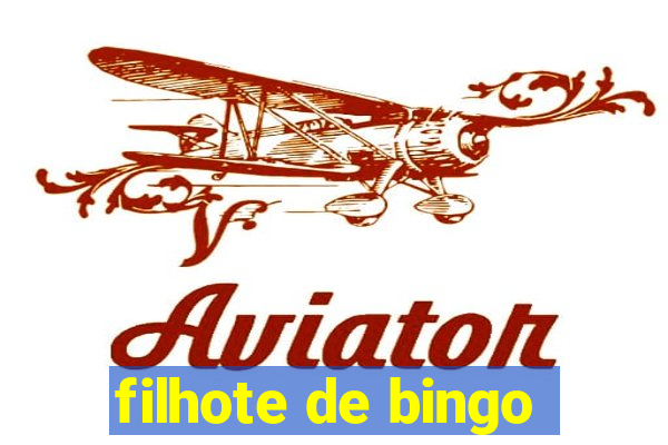 filhote de bingo