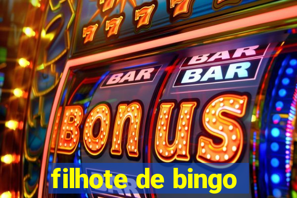 filhote de bingo