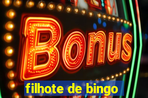 filhote de bingo