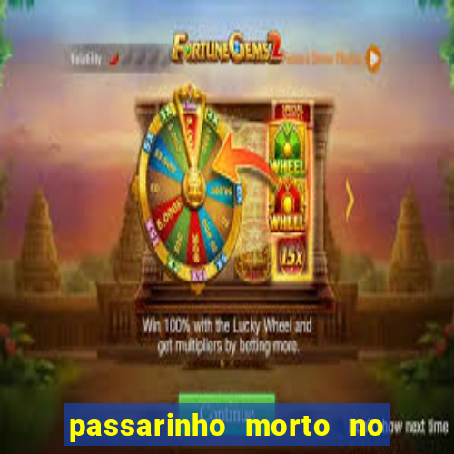 passarinho morto no quintal significado