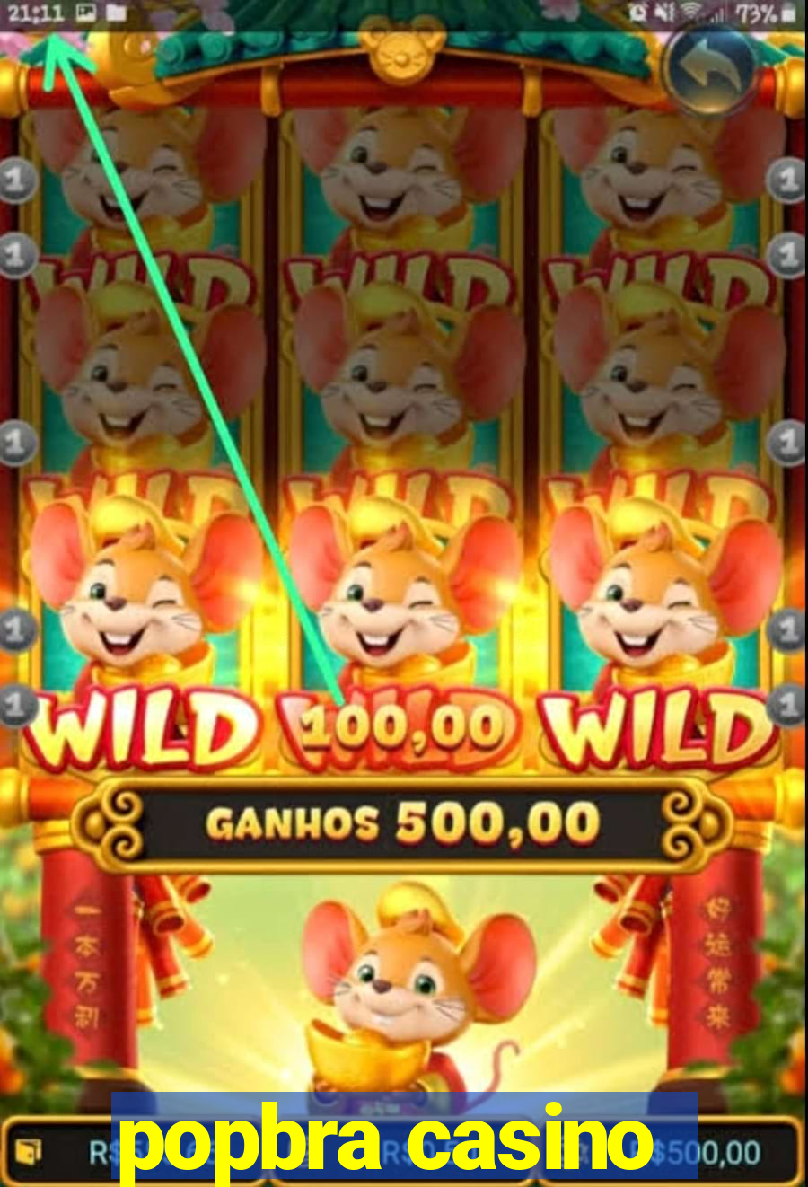 popbra casino