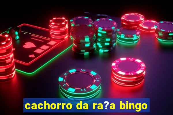 cachorro da ra?a bingo