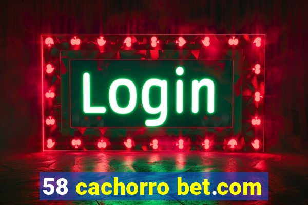 58 cachorro bet.com