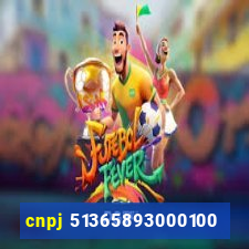 cnpj 51365893000100