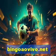 bingoaovivo.net