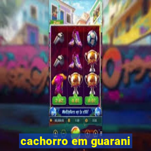 cachorro em guarani