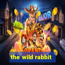 the wild rabbit