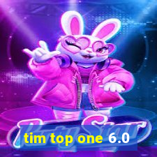 tim top one 6.0